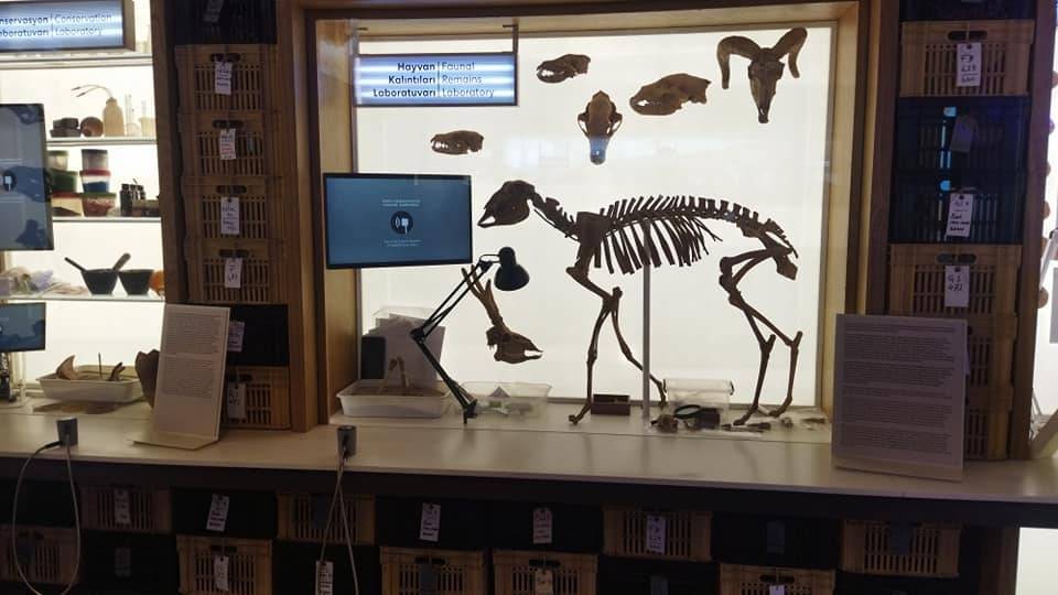 Konya'daki bu binanın içine giren, 9 bin yıl önceye gidiyor! 3